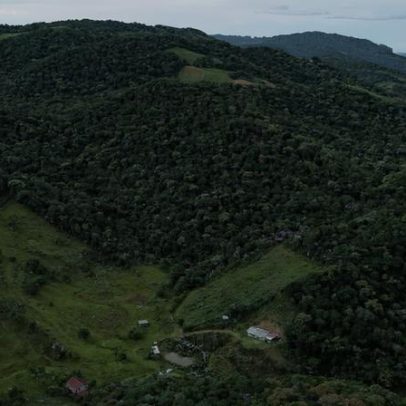 Santa Catarina prevê pagamento a produtores para preservar florestas nativas