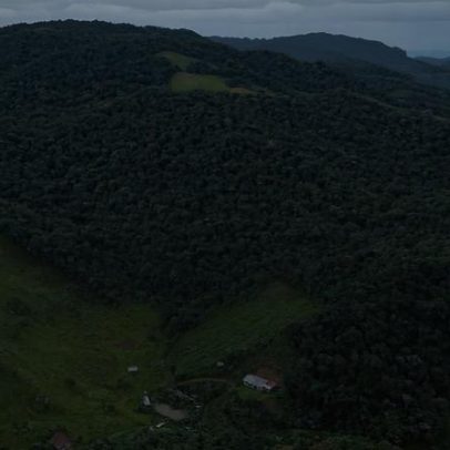 Programa promete R$ 70 milhões a produtores por floresta em pé