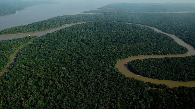 Vista aérea de floresta amazônica no Maranhão