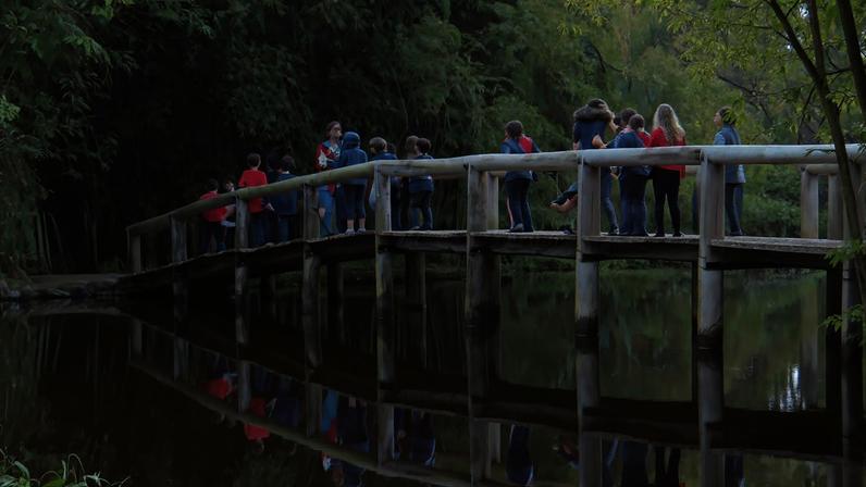 Paisagem e vida comunitária no interior do Rio Grande do Sul
