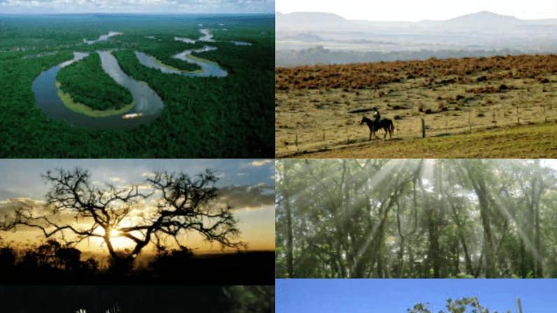 Paisagem natural com rio e vegetação típica do bioma Cerrado na transição amazônica (imagem ilustrativa). Crédito: Comitê Baixo Tietê.