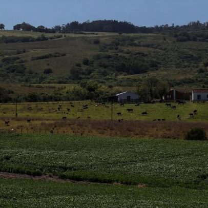 Barros Cassal RS abre processo seletivo para vaga de auxiliar de serviços gerais
