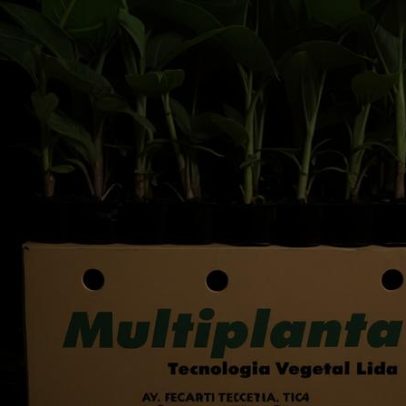 Prefeitura de Nova Porteirinha MG abre 23 vagas para ACS e ACE
