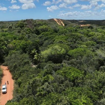 ICMBio de Nísia Floresta abre seleção para agente temporário ambiental