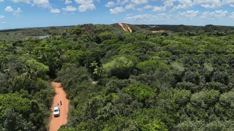 Paisagem de Mata Atlântica semelhante à encontrada na FLONA Nísia Floresta.