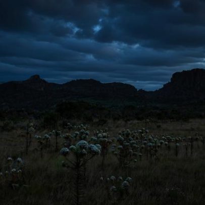 ICMBio abre cadastro de reserva para agente ambiental em Jequitinhonha, MG