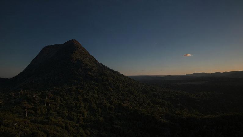 Vista do Parque Nacional e Histórico do Monte Pascoal, com o monte ao fundo em meio à Mata Atlântica.