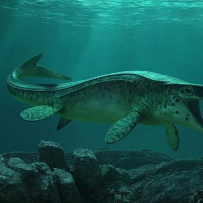 T. rex recém-descoberto dominou os mares no Cretáceo