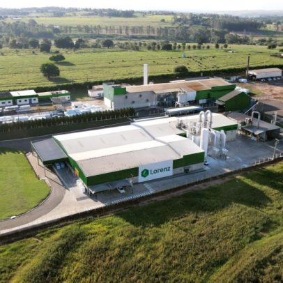 Lorenz projeta faturamento de R$ 1,2 bilhão até 2032 com expansão da mandioca