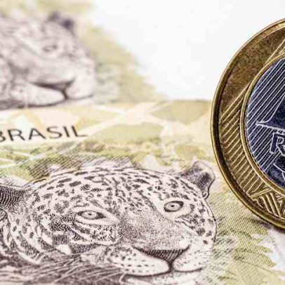 Apex Partners aposta nas 'onças brasileiras' em Brasil fora da bolsa