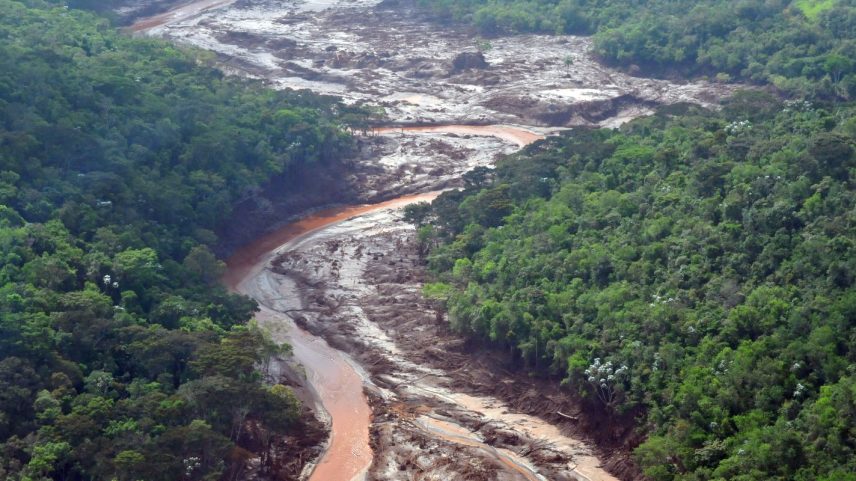 Reflorestamento de áreas atingidas em Mariana