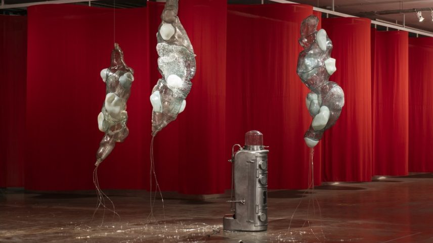 Registro de obra de Berenice Olmedo na 36ª Bienal de São Paulo — Foto: Levi Fanan/DIVULGAÇÃO