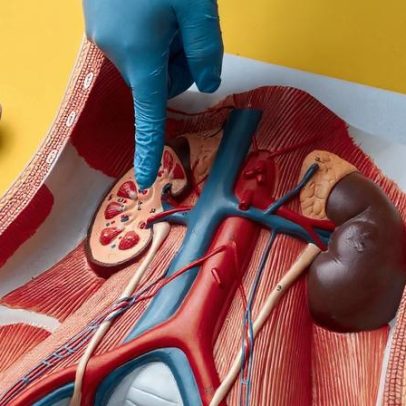 Três alimentos a evitar para proteger os rins