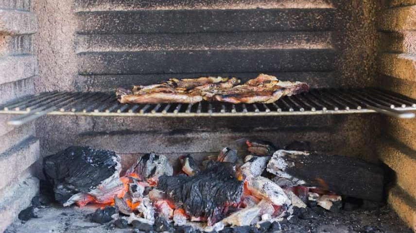 Cinzas do churrasco podem ser valiosas para a jardinagem; se usadas com cuidado, podem melhorar o solo e ajudar no controle de pragas