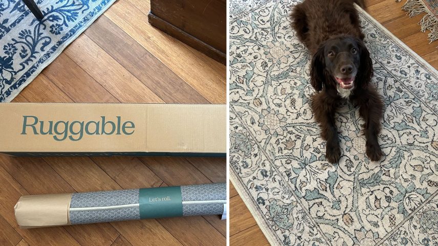 Can the washable rug stand up to my tests?