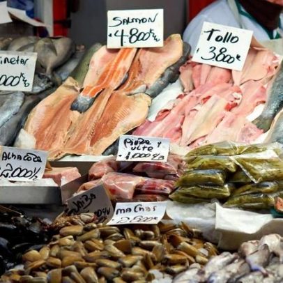 Salmão, vinhos e frutas lideram exportações chilenas ao Brasil em 2026