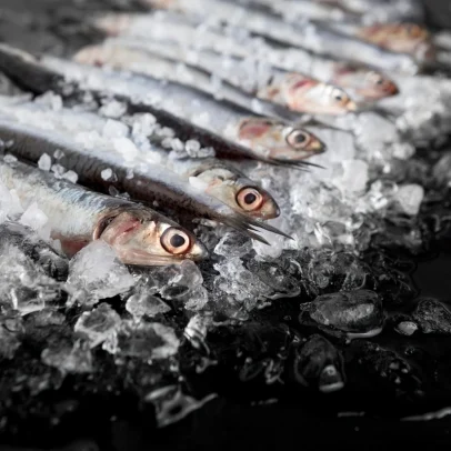 Peixe popular e barato: razões para incluí-lo na sua alimentação