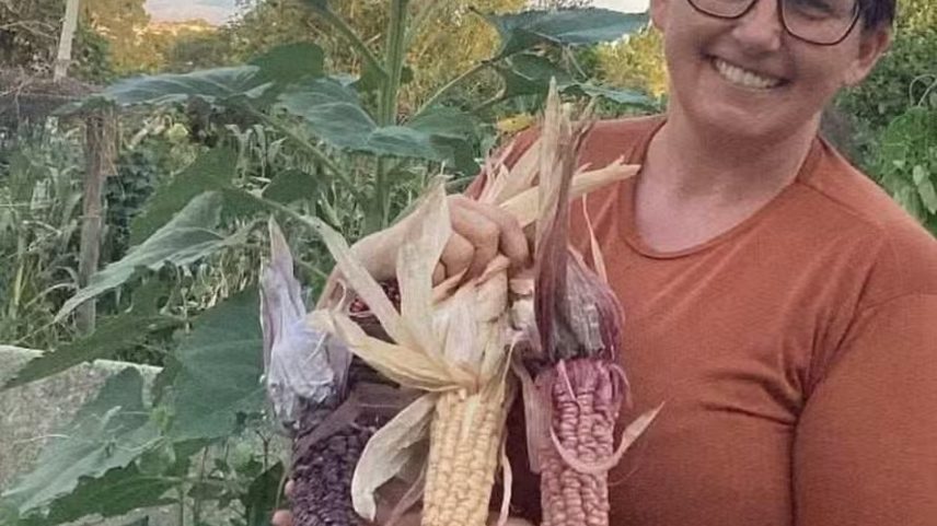 Ana Andréa Jantara mantém mais de 200 variedades de sementes em Palmeira, no Paraná. — Foto: Arquivo pessoal