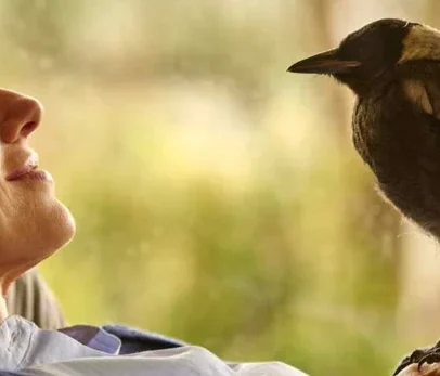 Globo exibe filme da Sessão da Tarde nesta quarta-feira