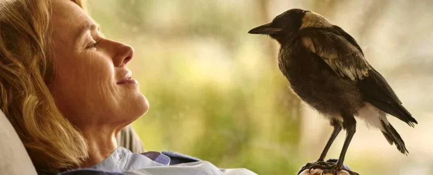 Sessão da Tarde – Saiba qual filme a Globo exibe nesta quarta-feira