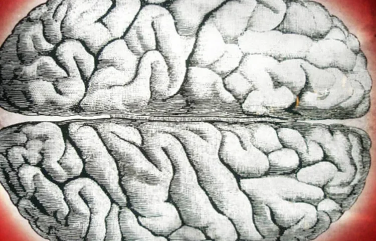 Redes neurais são a base da inteligência artificial moderna e permitem que máquinas reconheçam padrões e gerem respostas complexas (Photopin)