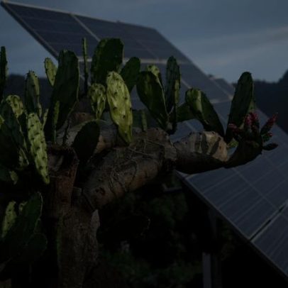 Energia solar chega a mulheres em Bornéu, mas desigualdade rural persiste