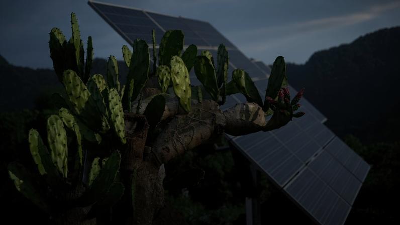 Solar panels in Bali, Indonesia. Image for representational purpose. Image by Selamat Made via Flickr (CC BY 2.0).