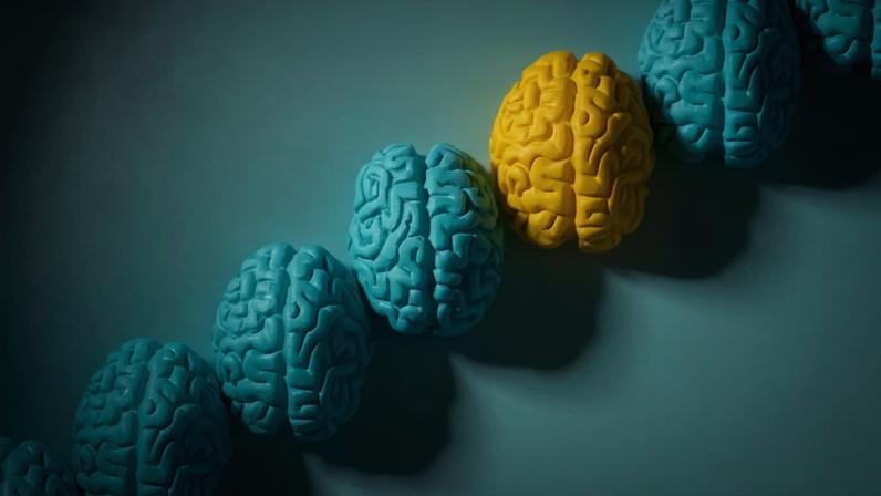 Os dois subtipos identificados têm diferenças entre si tanto na questão de estruturas cerebrais funcionais quanto dos fatores genéticos associados a eles