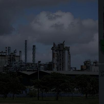 Suzano recebe aprovação da UE para ser sócia majoritária da Kimberly-Clark