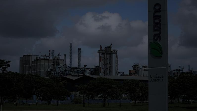 Unidade da Suzano em Aracruz, no Espírito Santo