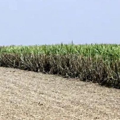Paraguai estabelece decreto para 50% de etanol na mistura de combustíveis