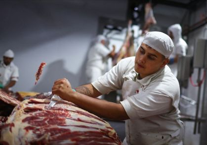 Produção de carne