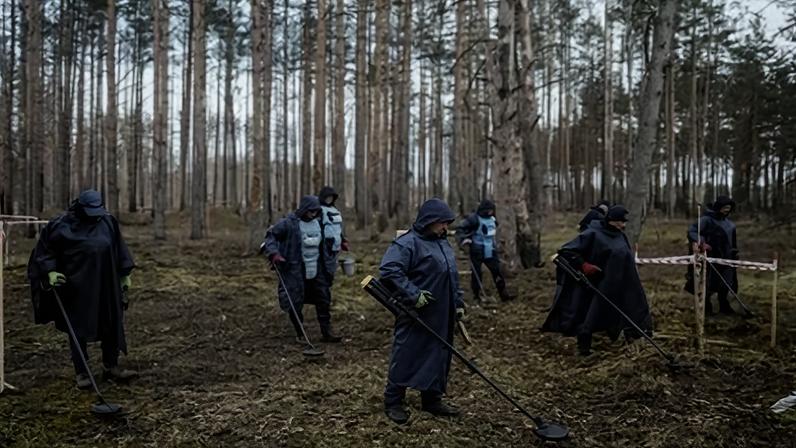 Funcionários do HALO Trust usam detectores de metal para procurar dispositivos explosivos perto do vilarejo de Myrotske