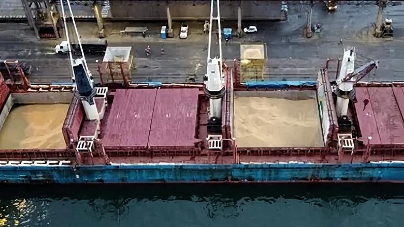 Navio graneleiro descarrega soja dos EUA no porto de Paranaguá
