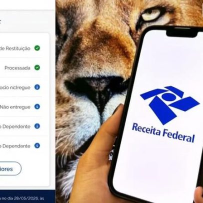 Como verificar se a declaração do Imposto de Renda foi aceita