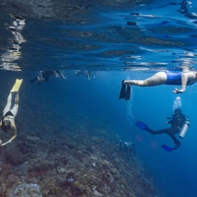Turismo de mergulho causa danos silenciosos a recifes, aponta estudo