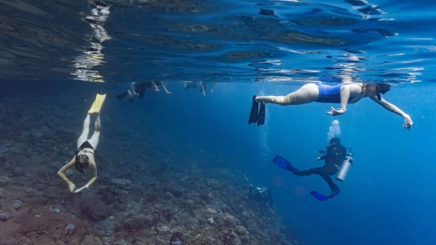 Praticantes de snorkel e mergulhadores exploram um recife de coral em Nusa Penida, na Indonésia.