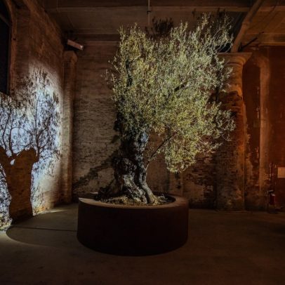 Em Veneza, artistas desafiam censura para lamentar e homenagear Gaza
