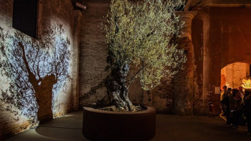Theo Eshetu's "The Garden of the Broken-Hearted" (2026), a new work in "In Minor Keys," the main exhibition of the 2026 Venice Biennale.