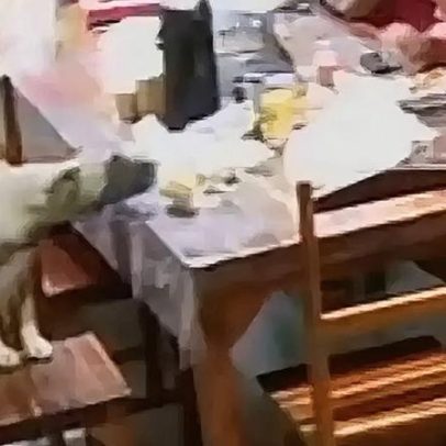 Cachorro invade quartel no Ceará e leva sanduíche de bombeiro