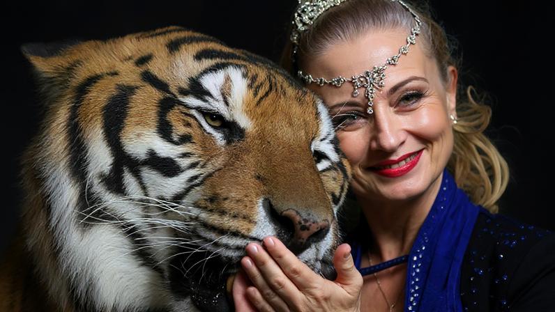 1 de 1 tigre-na-alemanha - Foto: Reprodução/X