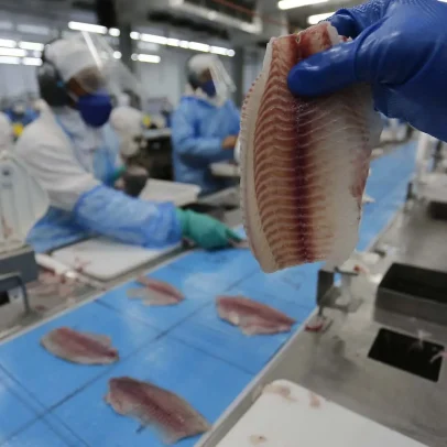Comissão adia decisão sobre tilápia invasora após pressão de produtores