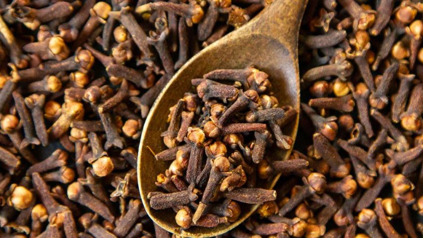 Entenda por que você deve começar a consumir cravo-da-índia