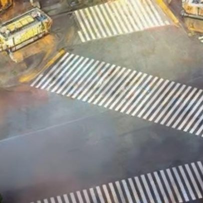 Censo aponta queda recorde da população japonesa nos últimos cinco anos