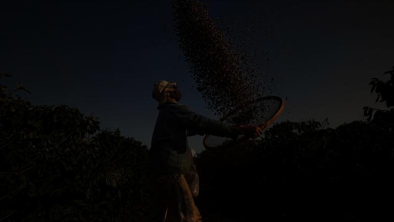 Andradas é conhecida pela produção de café e vinhos