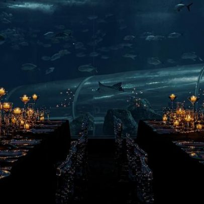 AquaRio inaugura jantar imersivo no maior aquário marinho da América do Sul
