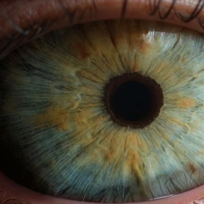 Novo teste rápido diagnostica anemia a partir da avaliação dos olhos