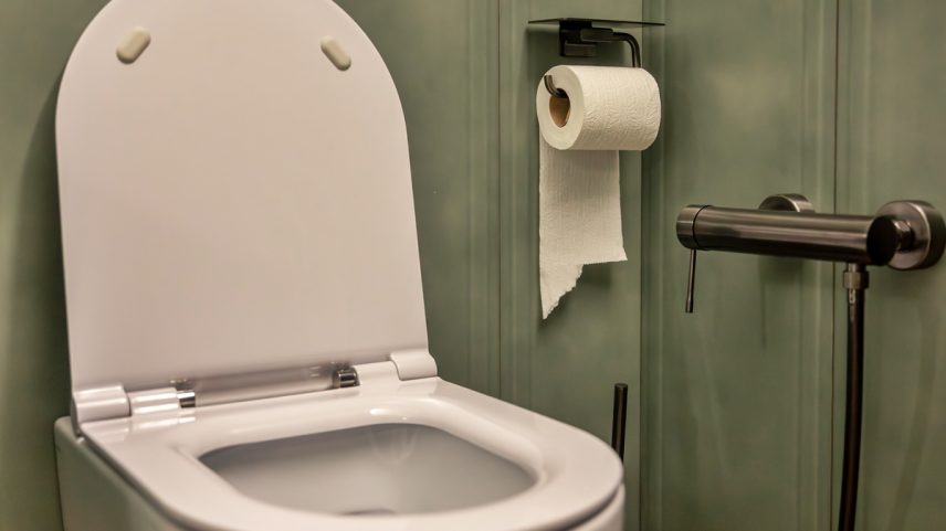 Foto colorida de vaso sanitário branco em banheiro verde