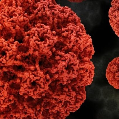 Vacina demonstra eficácia contra células tumorais associadas ao HPV