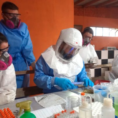 Casos de hantavírus no Paraná ocorreram em fev e abr, divulgados só em maio